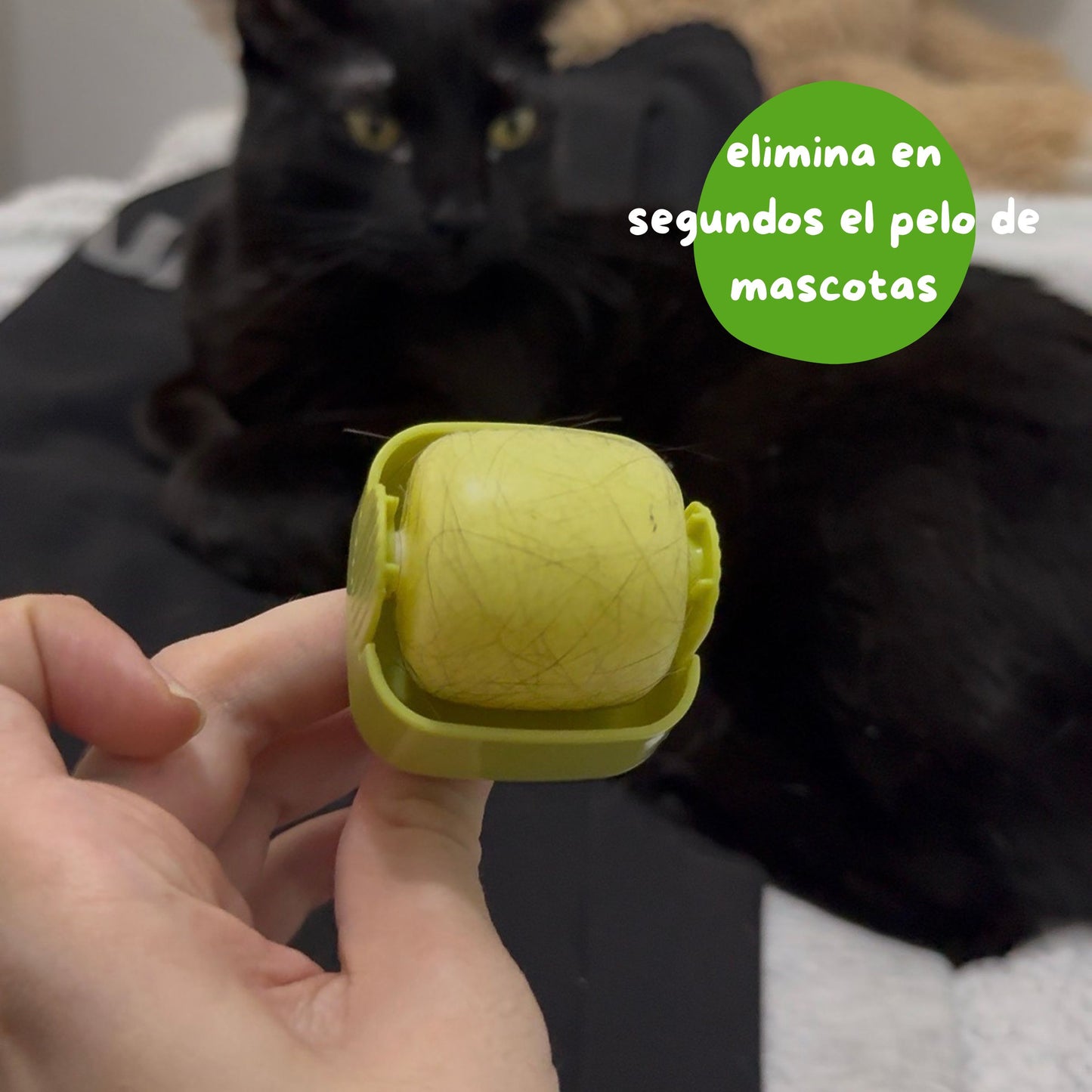 HairOff™ – Rodillo Lavable Quita Pelusas y Pelo de Mascotas